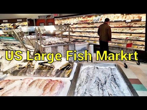 YouTube video about: Where to buy dry fish in usa?