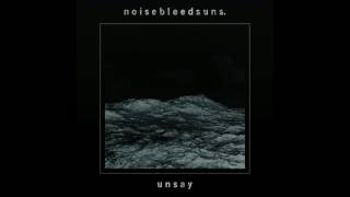 (Grunge / Indie / Noise Rock ) noisebleedsuns - on air