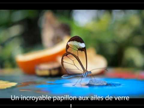 PHOTOS SURPRENANTES !