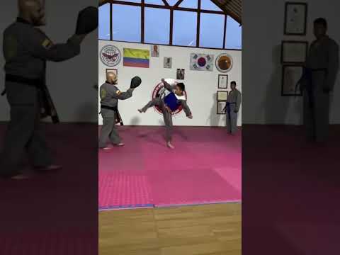 Escuela de artes marciales sin moo hapkido escorpión negro, Doyag Gachancipa Cundinamarca Colombia