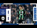 PL Highlights: Everton 1 Albion 1