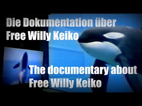 Die Dokumentation über Free Willy Keiko