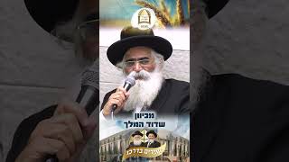 למה מגילת רות דווקא בשבועות? | שביבי אור מאת אבינו מו"ר הרב יורם אברג'ל זיע"א