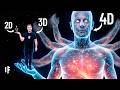 What If You Could See The 4th Dimension
