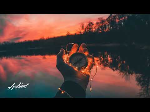 FNX - Motivaciona ruka