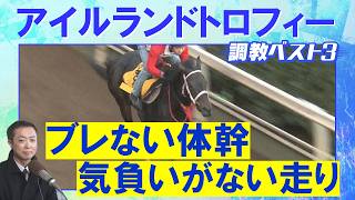 「安定感がずば抜けている！」カムニャック、クイーンズウォーク、ジョスラン・・・競馬エイト・高橋賢司トラックマンの調教解説＜アイルランドトロフィー(ＧⅡ)＞