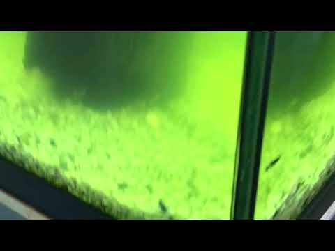 Watch Video on YouTube