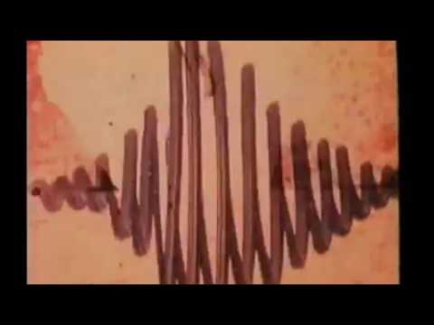 Buchla & Eurorack Soundscape - L'Amour Réinventé Love Reinvented   Maurice Lemaitre,1979