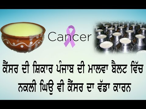 ਕੈਂਸਰ ਦੀ ਸ਼ਿਕਾਰ ਪੰਜਾਬ ਦੀ ਮਾਲਵਾ ਬੈਲਟ ਵਿੱਚ ਨਕਲੀ ਘਿਉ ਵੀ ਕੈਂਸਰ ਦਾ ਵੱਡਾ ਕਾਰਨ