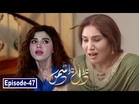 Mera dil mera dushman episode 53 Promo | Mera Dil Mara Dushman Episode 54 Teasear |Ary Digital Drama