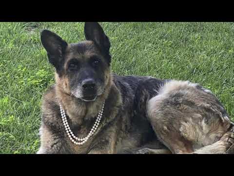 Nicole Becannon Gets Her Bass Back