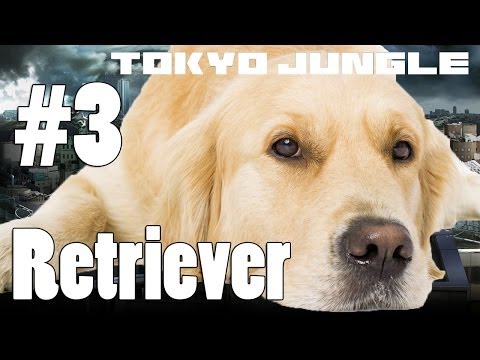Tokyo Jungle: Retriever Survive over 100 years  Part 3 of 4