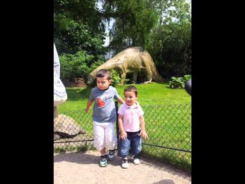 Romane gila Armani NEW NEW NEW 2012.wmv