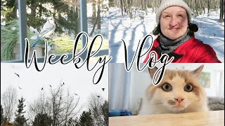 Weekly Vlog | Biopsy Results & Nature Walks
