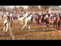 The Best High School Football Trick Plays You Have To See!