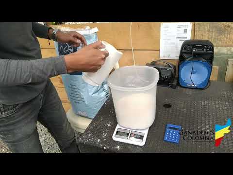 , title : '¿Cómo preparar correctamente el lactoreemplazador para terneras? | Ganaderos Colombia'