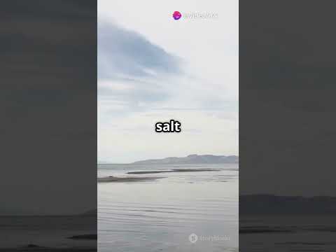 The Great Salt Lake Is Disappearing  #facts #naturefacts #shorts