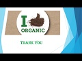 World Environment Day PPT Slideshow