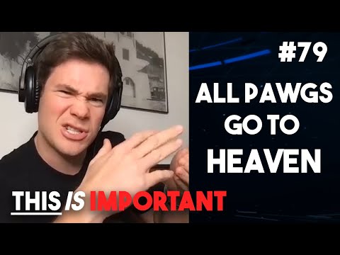 Ep 79: All PAWGS Go To Heaven | This is Important Podcast