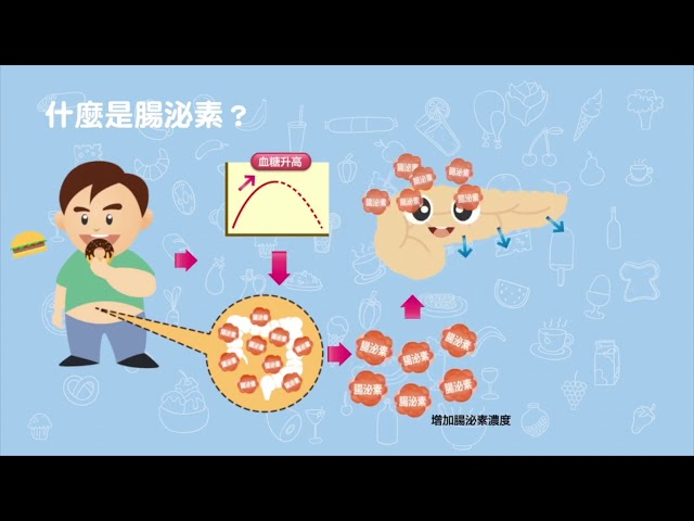 糖尿病衛教：控制血糖,輕鬆上手