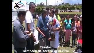 preview picture of video 'Premiación final Torneo 2013 2014 liga de  Comala, Colima'