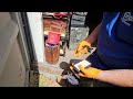 Following Up on the Mice Activity in Ocean Gate, NJ