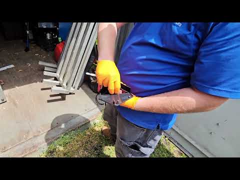 Following Up on the Mice Activity in Ocean Gate, NJ