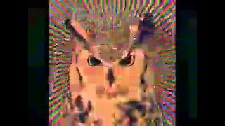 Goldenes Herz Menschheit Sigmatismus - brian jonestown massacre