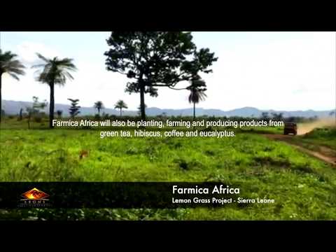 Farmica Africa - Sierra Leone Project
