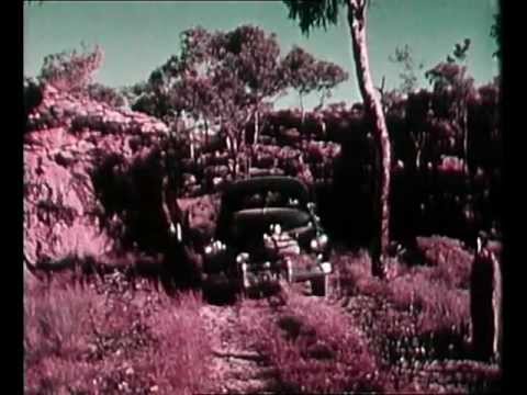 WORLDS best SAFARI - Northern Safari