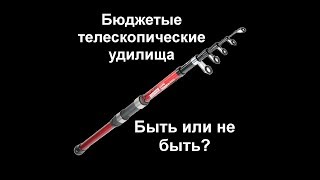 Какая удочка лучше штекерная или телескопическая