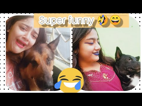 Funny clips of my * DOGS * / Sulagna Mukherjee