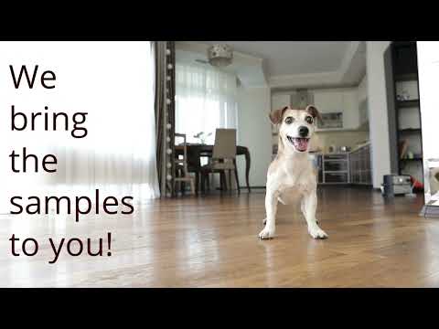 Tee's Flooring — Short Overview