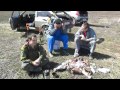 Копатели ( Кладоискатели ) 