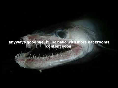 introducing, the thing on level 7