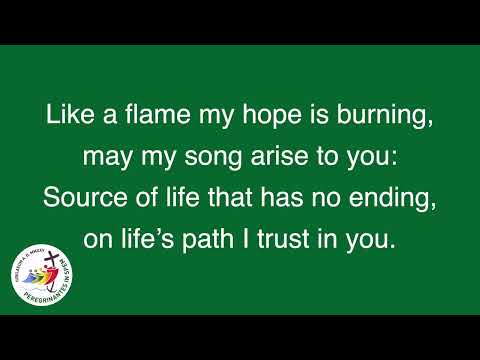 Pilgrims of Hope | Jubilee 2025 | small choir #choir #acoustic #lyrics