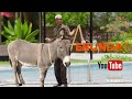 EBUNDA By Nyagwoka Otiso Kirwanda Junior