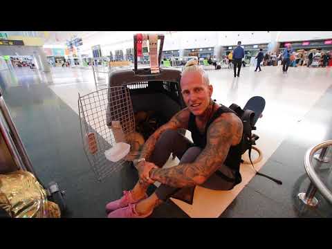 VLOGG_071 - Safari från Idol på besök och nästa hållplats SVEARIKE!