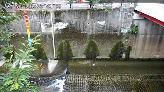 久保田橋映像監視局
