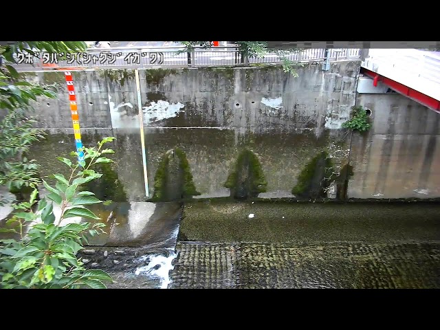 久保田橋映像監視局