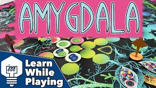 Amygdala - Learn While Playing!