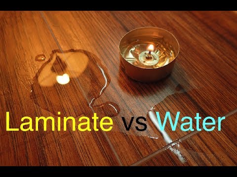 download lagu mp3 mp4 Protect Hardwood Floors From Water, download lagu Protect Hardwood Floors From Water gratis, unduh video klip Protect Hardwood Floors From Water