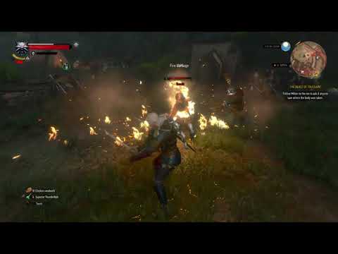 Witcher 3 - Endgame Sign Build