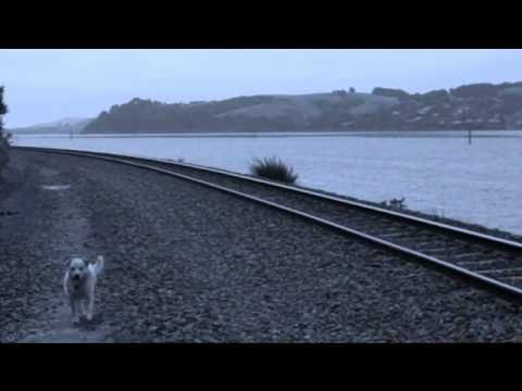 Delgirl : Take Me To The Railway By the Sea