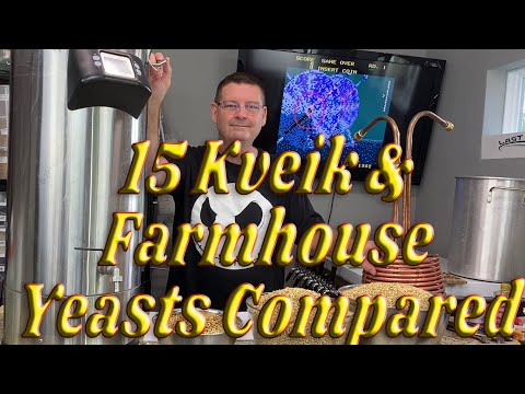 15 Norwegian Kveik and Farmhouse yeasts head to head comparisons - Part 1 of 4