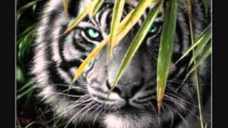 G .C. CAMERON   ...   I'M GONNA GET YOU  ...(   PT 1 & 2   )......