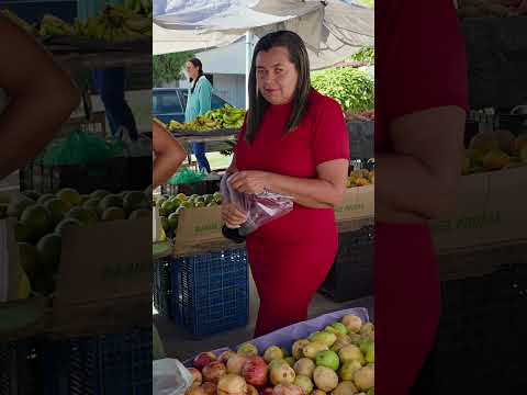 Feira Livre de Minador do Negrão, sábados. Alagoas