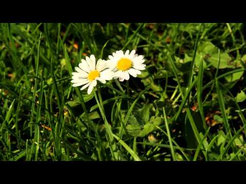 A trip to Nechit area - Neamt County