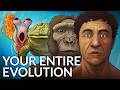 What Did Humans Evolve From? DEFAULT Thumbnail