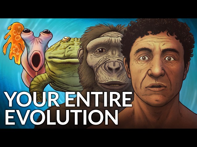 What Did Humans Evolve From? SDDEFAULT Thumbnail
